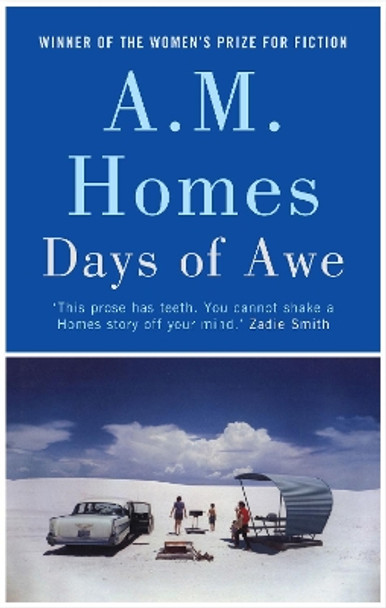 Days of Awe by A.M. Homes 9781847083258