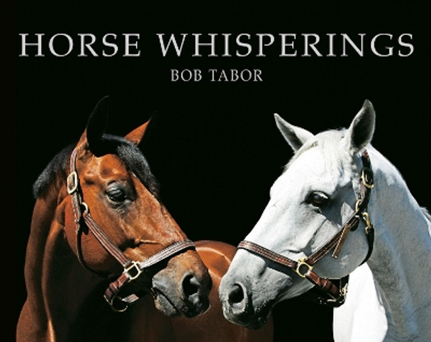 Horse Whisperings: Portraits by Bob Tabor by Bob Tabor 9781851499113