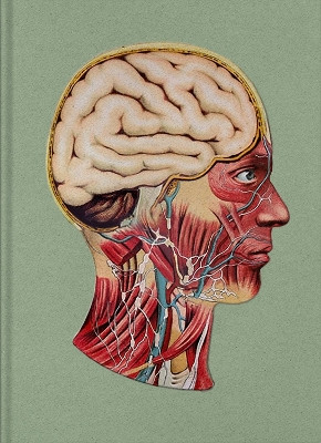 Maybe Phillip Toledano 9781907893711