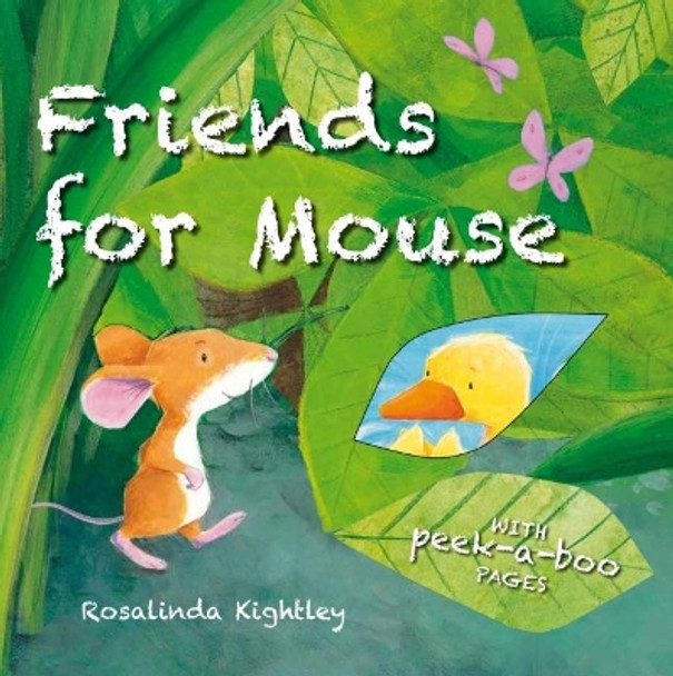 Friends for Mouse by Rosalinda Kightley 9781910716168