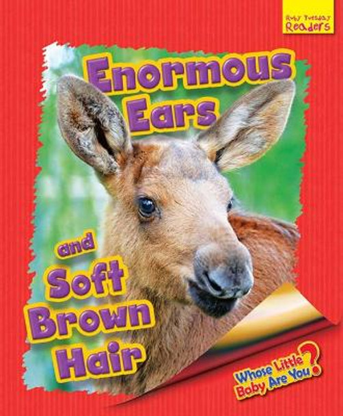 Whose Little Baby are You?: Enormous Ears and Soft Brown Hair by Ellen Lawrence 9781911341574