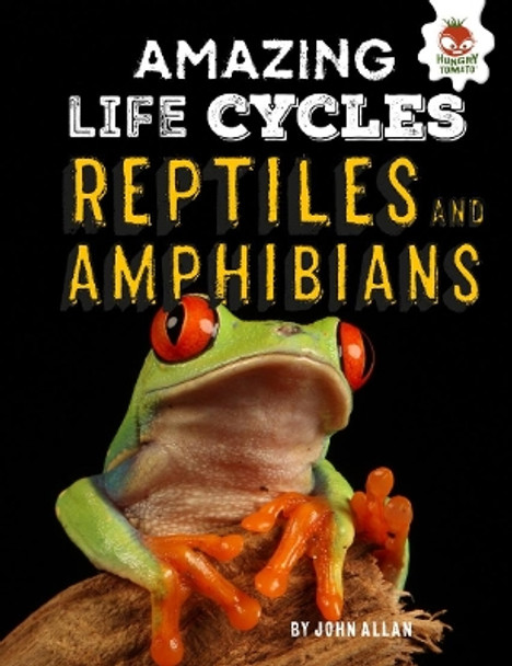 Reptiles and Amphibians - Amazing Life Cycles by John Allan 9781912108992