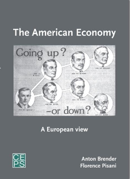 The American Economy: A European View by Anton Brender 9789461386755