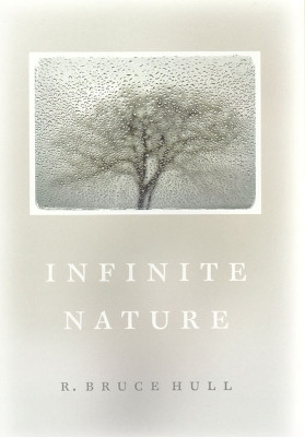 Infinite Nature by R. Bruce Hull 9780226359441
