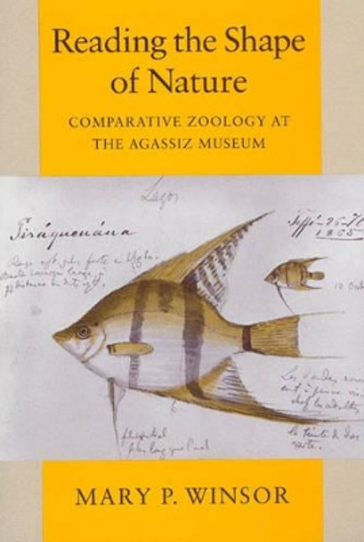 Reading the Shape of Nature: Comparative Zoology at the Agassiz Museum by Mary P. Winsor 9780226902159