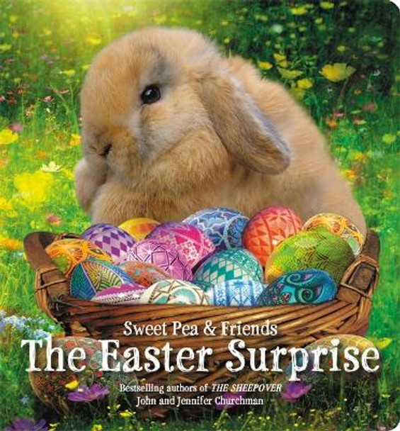 The Easter Surprise by Jennifer Churchman 9780316538220