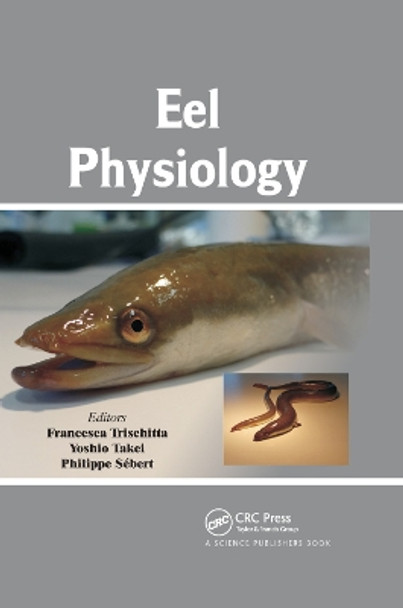 Eel Physiology by Francesca Trischitta 9780367379636