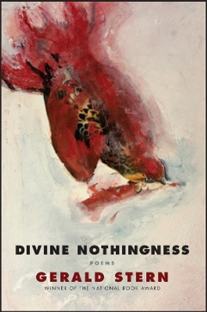 Divine Nothingness: Poems by Gerald Stern 9780393352863