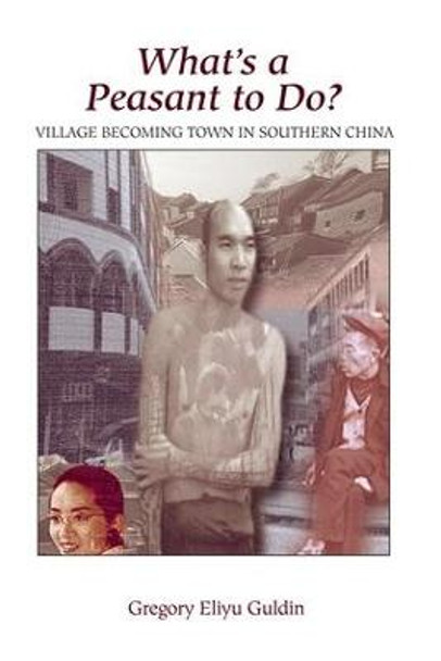 What's A Peasant To Do? Village Becoming Town In Southern China by Gregory Eliyu Guldin