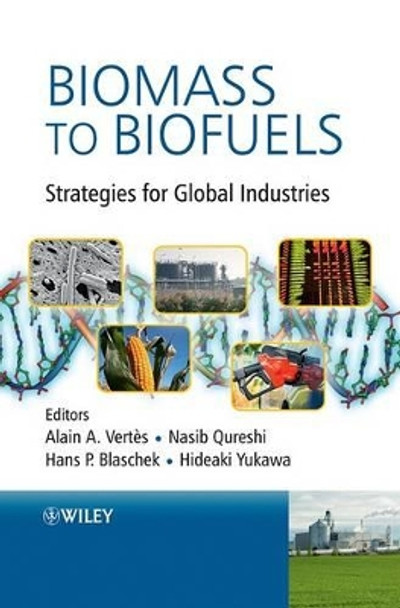 Biomass to Biofuels: Strategies for Global Industries by Alain A. Vertes 9780470513125