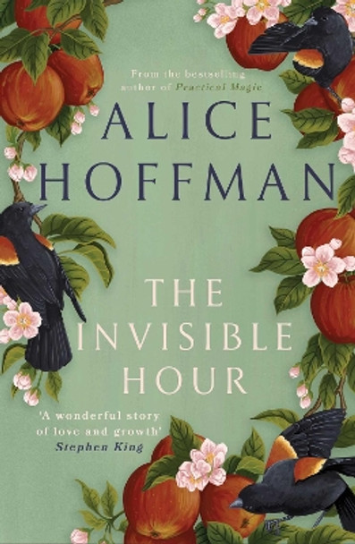 The Invisible Hour by Alice Hoffman 9781398526181