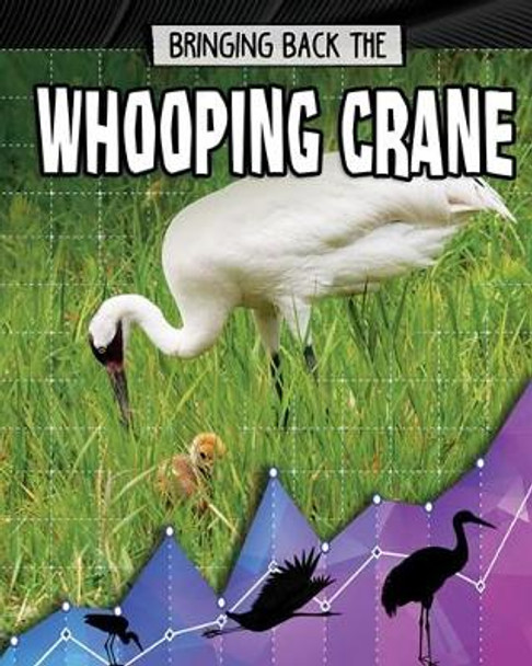 Bringing Back the Whooping Crane by Rachel Stuckey 9780778749394