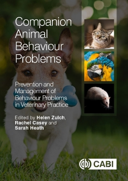 Companion Animal Behaviour Problems: Prevention and Management of Behaviour Problems in Veterinary Practice by Rachel Casey 9781780643458