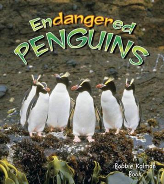 Endangered Penguins by Robin Johnson 9780778719090