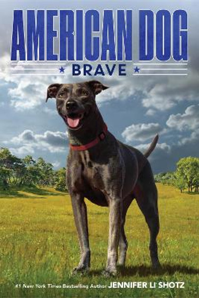 American Dog: Brave by Jennifer Li Shotz 9780358108672