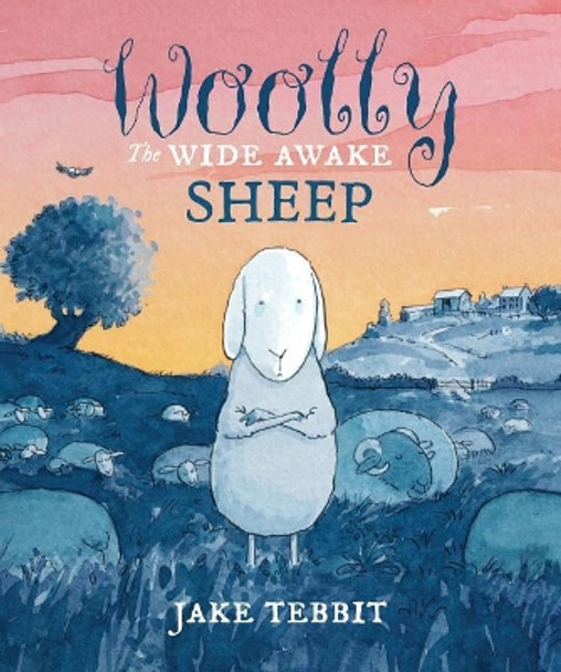 Woolly the Wide Awake Sheep by Jake Tebbit 9781595727909