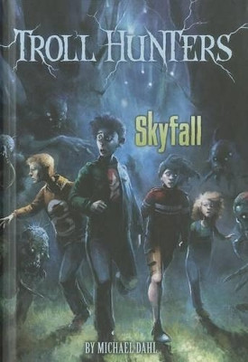 Skyfall by Michael Dahl 9781434233073