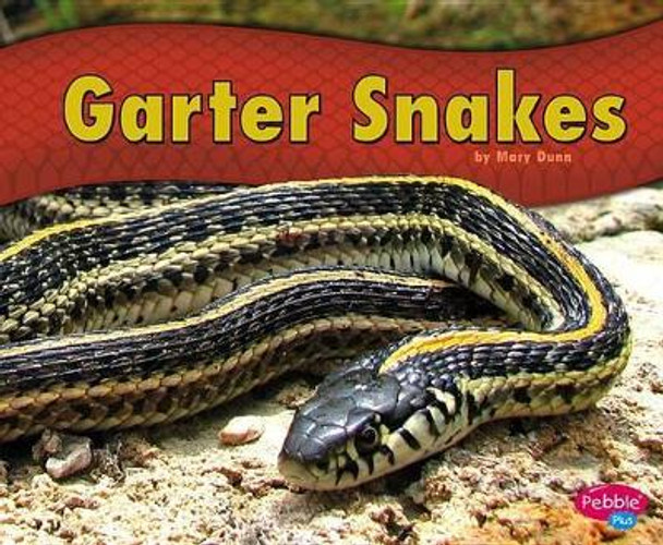 Garter Snakes by Mary R Dunn 9781476520728