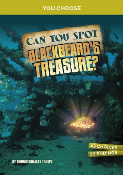 Can You Spot Blackbeard's Treasure?: An Interactive Treasure Adventure by Thomas Kingsley Troupe 9781669032007