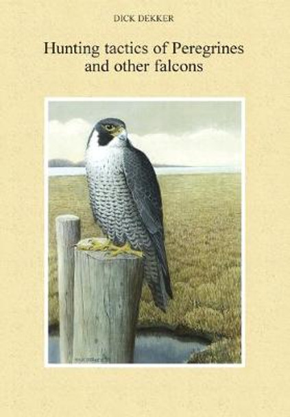 Hunting Tactics of Peregrines and Other Falcons by Dick Dekker