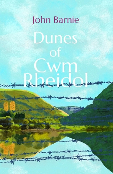 Dunes of Cwm Rheidol by John Barnie 9781788641456