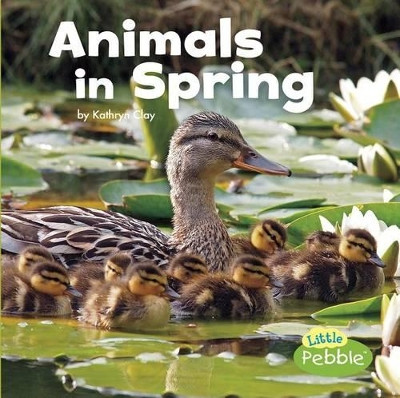 Animals in Spring by Kathryn Clay 9781491483022
