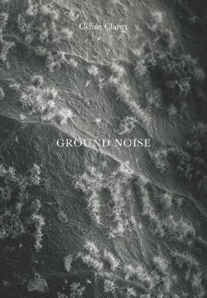 Ground Noise by Céline Clanet 9782330178901