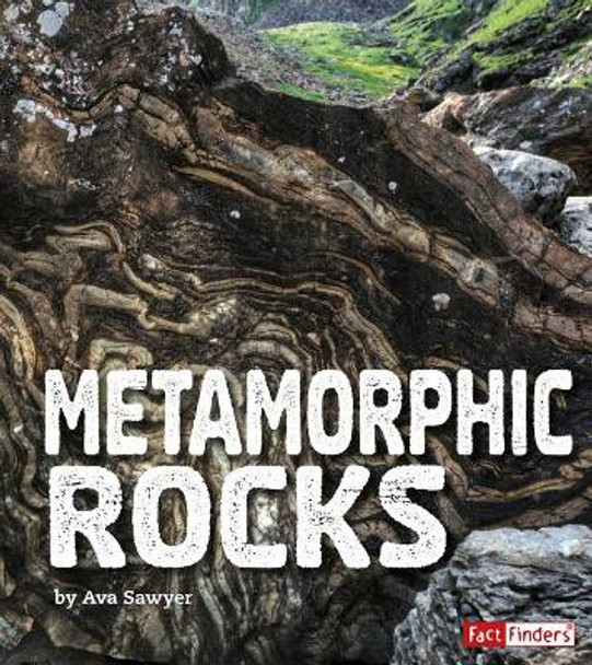 Metamorphic Rocks by Ava Sawyer 9781543527025