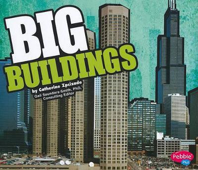 Big Buildings by Catherine Ipcizade 9781429639941