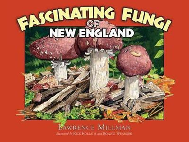 Fascinating Fungi of New England by Lawrence Millman 9781936571017