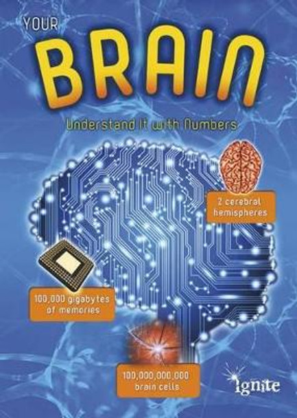 Your Brain: Understand it with Numbers (Your Body by Numbers) by Melanie Waldron 9781410959850