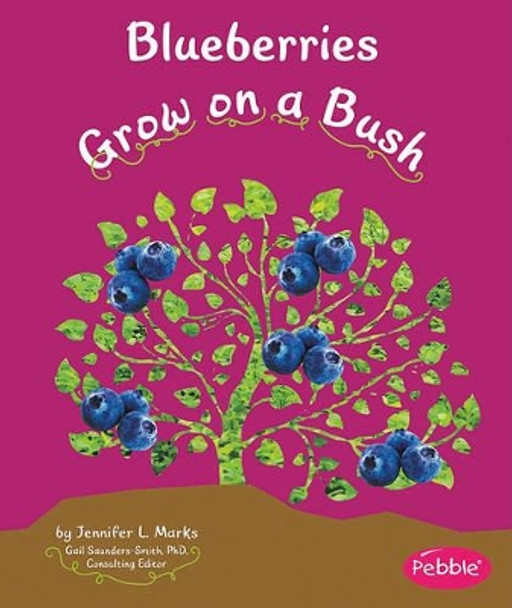 Blueberries Grow on a Bush by Mari Schuh 9781429652827