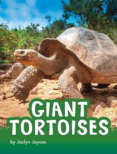 Giant Tortoises by Jaclyn Jaycox 9781977132970