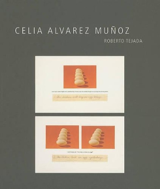 Celia Alvarez Muñoz by Roberto Tejada 9780895511126