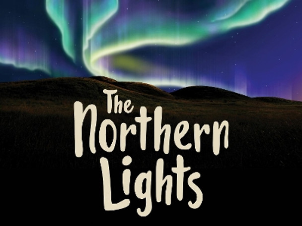 The Northern Lights: English Edition by Diane Ellis 9781774501849