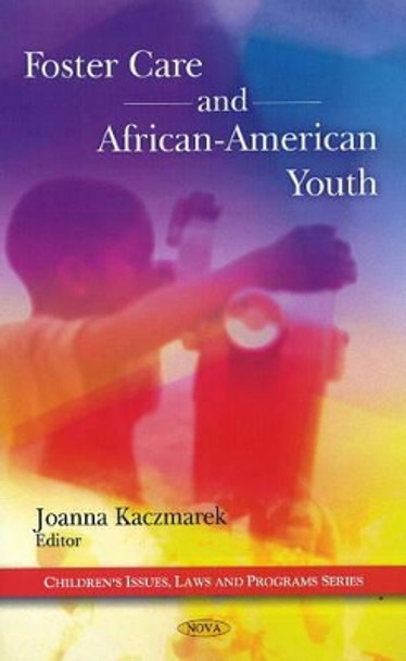 Foster Care & African-American Youth by Joanna Kaczmarek 9781607415411