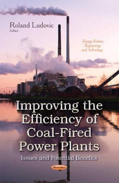 Improving the Efficiency of Coal-Fired Power Plants: Issues & Potential Benefits by Roland Ludovic 9781631175909