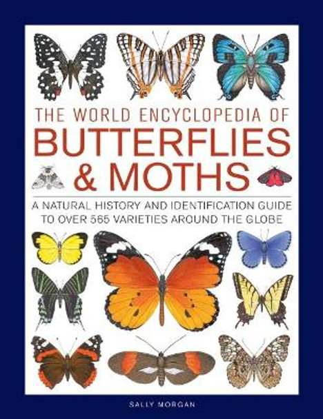 Butterflies & Moths, The World Encyclopedia of: A natural history and identification guide to over 565 varieties around the globe by Sally Morgan 9780754834762