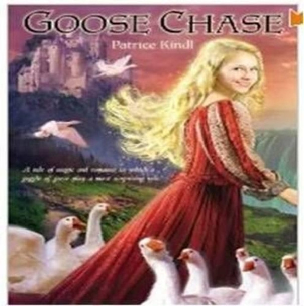 Goose Chase by Patrice Kindl 9780547331645