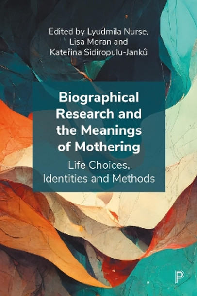 Biographical Research and the Meanings of Mothering: Life Choices, Identities and Methods by Elham Amini 9781447365624