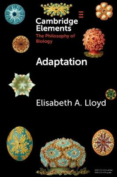 Adaptation by Elisabeth Lloyd