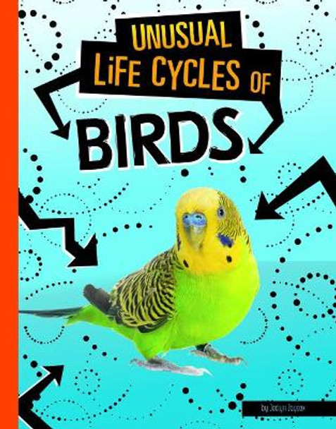 Unusual Life Cycles of Birds by Jaclyn Jaycox 9781496695574