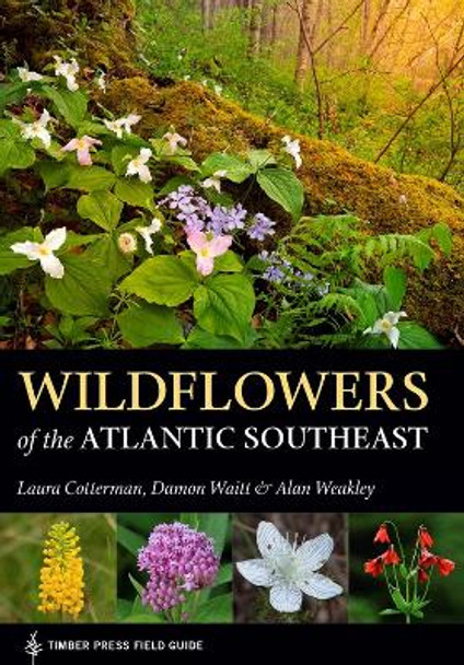 Wildflowers of the Atlantic Southeast by Laura Cotterman 9781604697605
