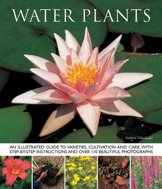 Water Plants: An Illustrated Guide to Varieties, Cultivation and Care, with Step-by-step Instructions and Over 110 Beautiful Photographs by Andrew Mikolajski 9781780192420