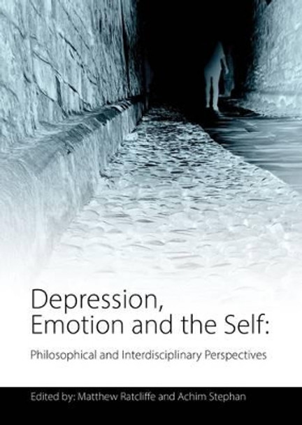 Depression, Emotion and the Self: Philosophical and Interdisciplinary Perspectives by Matthew Ratcliffe 9781845407469