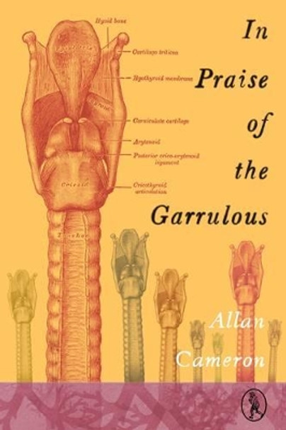 In Praise of the Garrulous by Allan Cameron 9781908251244