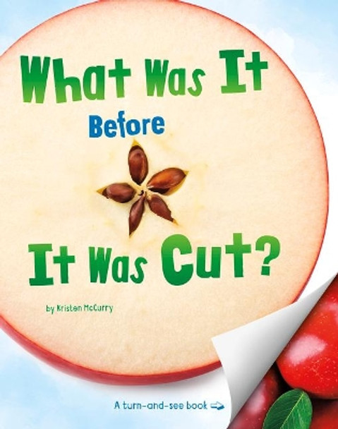 What Was It Before It Was Cut? by Kristen McCurry 9781977120137