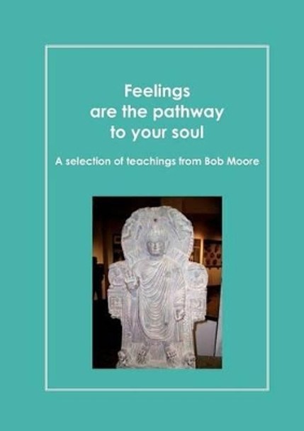 Feelings are the pathway to your soul by Daniel Perret 9782810623464