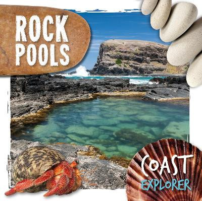 Rock Pools by Robin Twiddy 9781786379917