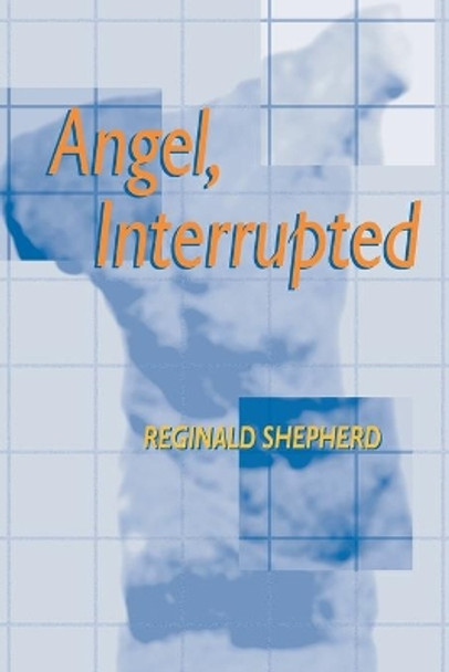 Angel Interrupted by Reginald Shepherd 9780822956143